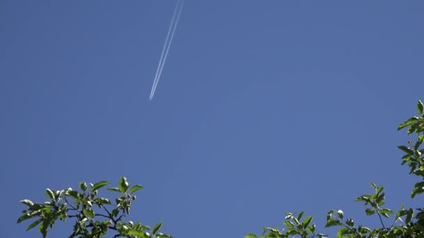 Flying vliegtuig witte lijnen trail achterlaat in blauwe hemel. 4k — Stockvideo