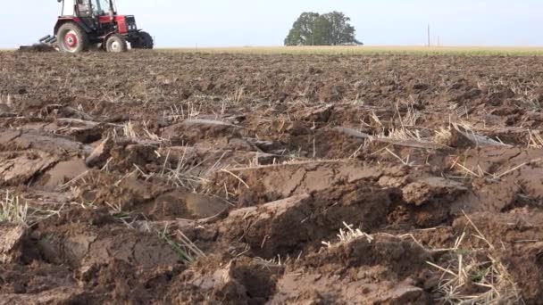 Trator arar campo agrícola no outono. 4K — Vídeo de Stock