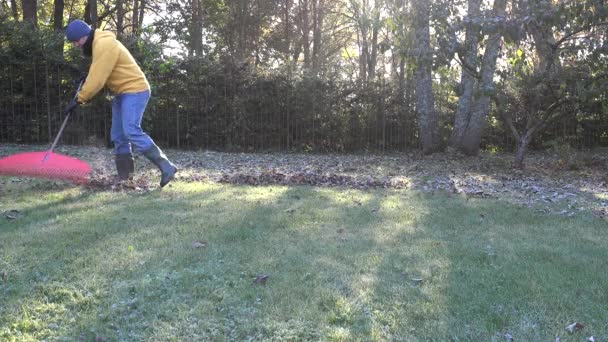 Hombre trabajador rastrillando hojas con rastrillo en el jardín. Trabajo estacional. 4K — Vídeos de Stock