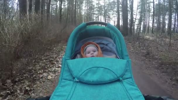 Мати цілує дочку дівчину в колясці і новонароджену посмішку. 4-кілометровий — стокове відео
