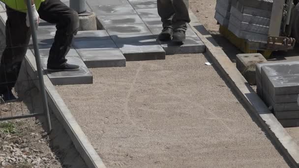 Bauarbeiter machen Gehweg mit Zementfliesen. 4k — Stockvideo