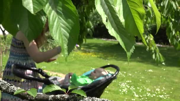 Mãe alimentar criança pequena na carruagem ao ar livre. Concentre-se em folhas verdes. 4K — Vídeo de Stock