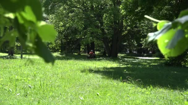 Travailleur monter tracteur tondeuse à gazon et les gens marchent dans le parc. 4K — Video