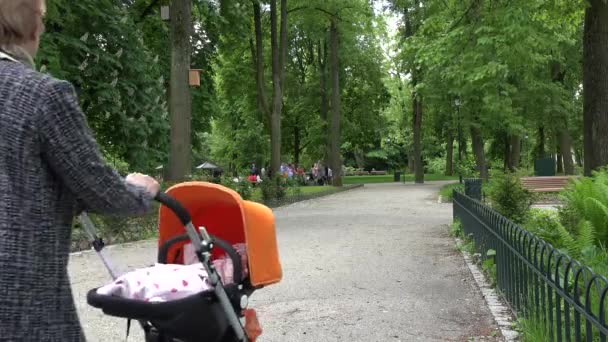 老妇人奶奶推着婴儿车在公园小径上。4k — 图库视频影像