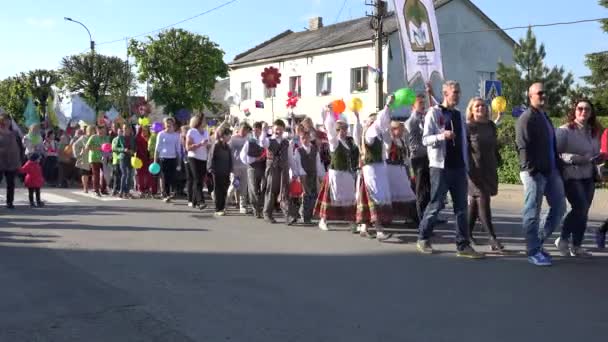 Burgers nemen deel aan de parade van de verjaardag van de openbare stad. 4k — Stockvideo
