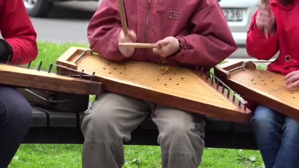Učitel a dívky hrát pobaltské psalterium nástrojem. 4k — Stock video