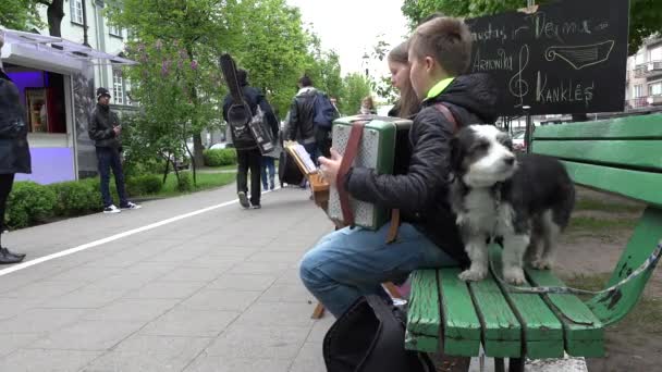 Хлопчик малюка грати з акордеоном. Собака мала. 4 к — стокове відео