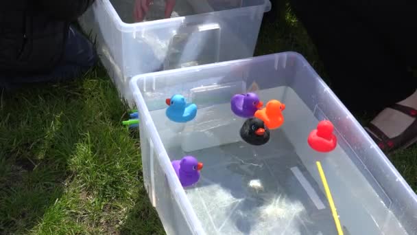 Los niños juegan a la carrera de patos en una pequeña piscina de agua. 4K — Vídeo de stock