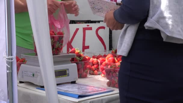 Προμηθευτή πωλούν οργανικά φράουλες στην αγορά. 4k — Αρχείο Βίντεο