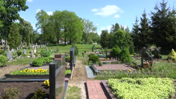 Kyrkogården keeper trimma gräs mellan gravarna monument. 4k — Stockvideo