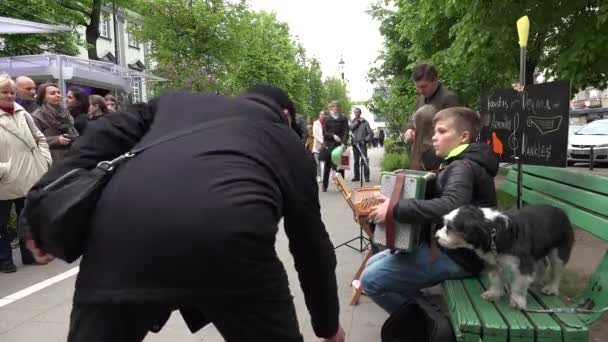 Niedlichen Jungen Kind spielen mit Ziehharmonika. Kleiner Hund. 4k — Stockvideo