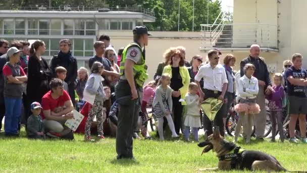 पुलिसकर्मी लोगों के दर्शकों के लिए प्रशिक्षित कुत्ते का आज्ञाकारिता दिखाते हैं। 4K — स्टॉक वीडियो