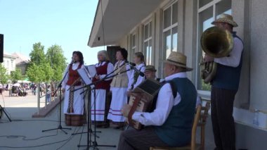 yaz günü insanlar için folklor topluluk konser. 4k