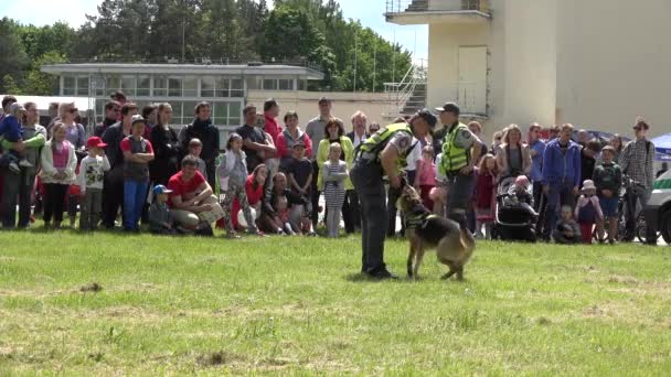 Polisler insanlar için eğitimli köpek itaat göstermek. 4k — Stok video