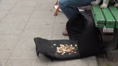 kız eller Baltık psaltery yaylı çalgı çalmak. 4k