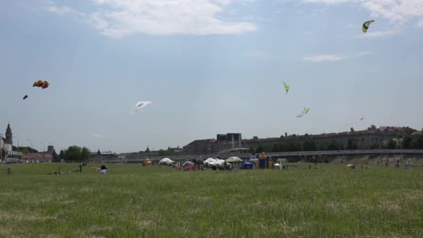 Various kites fly high in sky in city center. Kite control competition. 4K — Stock Video