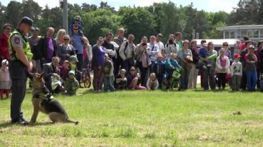 polis insanlar için eğitimli köpek itaat göstermek. 4k