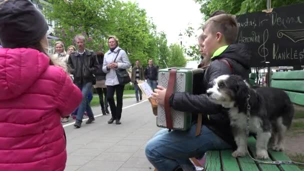 Мальчишка играет с аккордеоном. Маленькая собака. 4K — стоковое видео