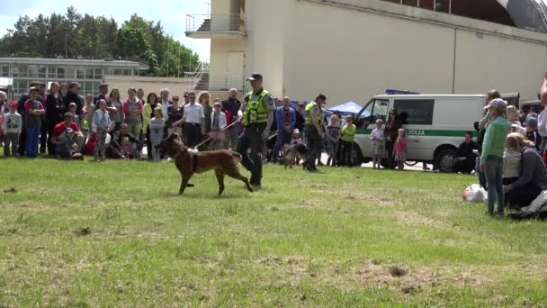 Οι αστυνομικοί με ένστολους δείχνουν εκπαιδευμένους σκύλους για θεατές. 4K — Αρχείο Βίντεο