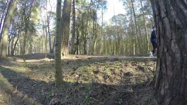 Joggeurs et mère poussent poussette bébé dans le chemin du parc de printemps. 4K — Video