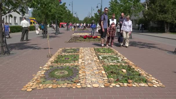 Die Menschen beobachten die Zusammensetzung von Pflanzenholz auf dem Bürgersteig in der Stadt. 4k — Stockvideo