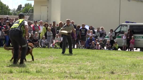 Policías muestran ataque de perro a colega con protección de manos para las personas. 4K — Vídeo de stock