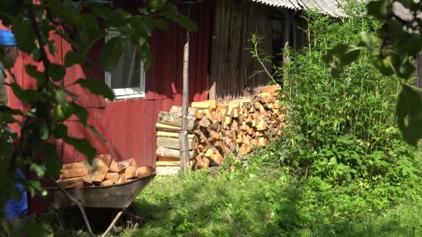 Homem agricultor puxar o carrinho cheio de madeira cortada e empilhá-lo perto de galpão. 4K — Vídeo de Stock