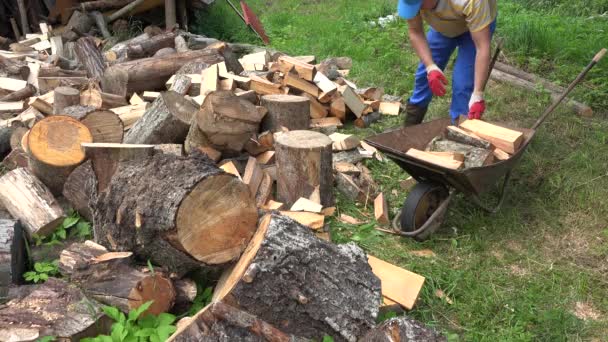 Hombre aldeano carga madera picada a carretilla oxidada. 4K — Vídeo de stock