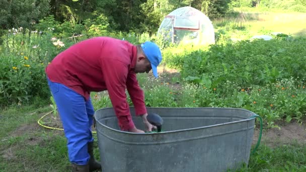 El hombre agricultor extrae agua y regar las plantas en el jardín con lata. 4K — Vídeo de stock