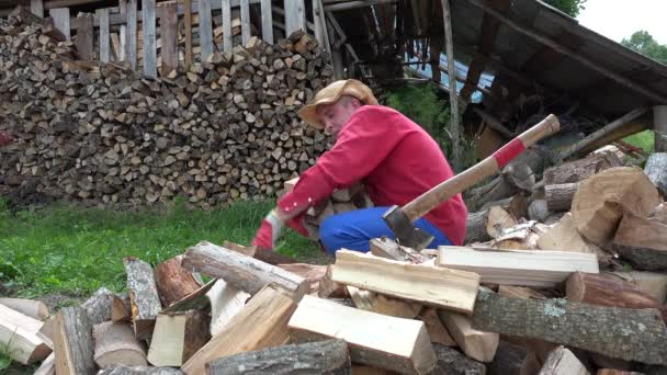 Садовник берёт дрова в руки и складывает их рядом с сараем. 4K — стоковое видео