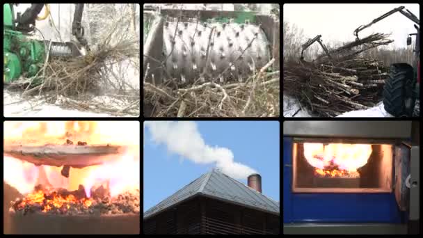 Esmagamento de galho de árvore. Grânulos de madeira em chamas. Aumento de fumo. Colagem — Vídeo de Stock