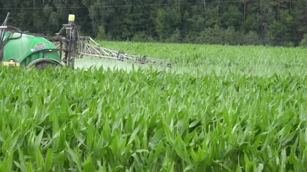 Volg tractor spray Corn Field planten met chemicaliën in de zomer. 4k — Stockvideo