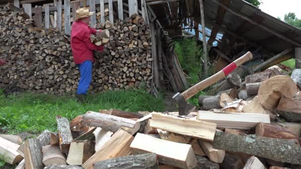 Village worker man guy stack chopped firewood near woodshed. 4K — Stock Video