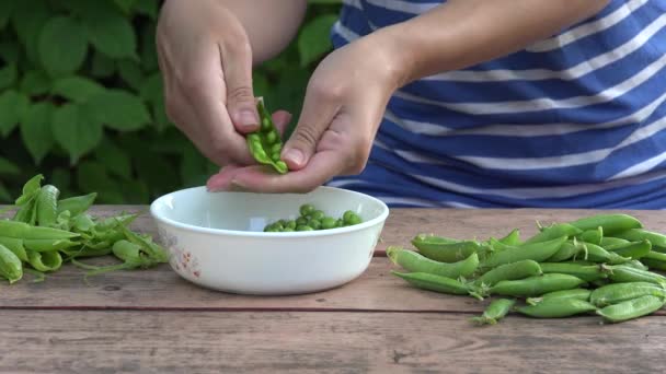 Agricultor vegetariano menina mãos casco ervilhas verdes frescos. 4K — Vídeo de Stock