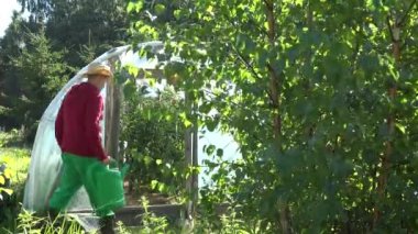 Hasır şapka bakım su domates bitkileri sera sulama olabilir ile çiftçi adam. 4k