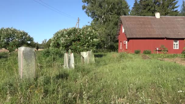 Los árboles frutales plantados protegidos con red de animales salvajes crecen en el jardín de la casa rural. 4K — Vídeos de Stock