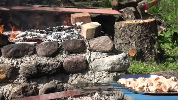 Carne en las saliva y llamas de hoguera en la chimenea del jardín. 4K — Vídeos de Stock