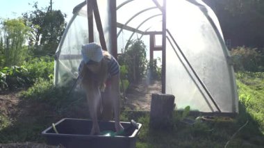 Sıcak çiftçi kadın sıcak hanede havza ve su bitkileri sulama olabilir ile su çekmek. 4k