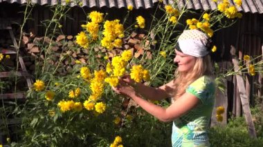 Güzel köylü kadın kırsal bahçede kova sarı çiçekler toplama. 4k