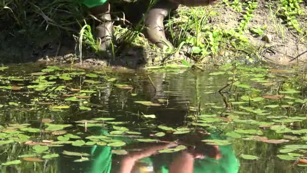 Τα χέρια του Φίσερ απελευθερώνουν τα αλιεύματα του, πάνε πίσω στη λιμνούλα. Ψάρεμα μόνο για πλάκα. Closeup. 4K — Αρχείο Βίντεο