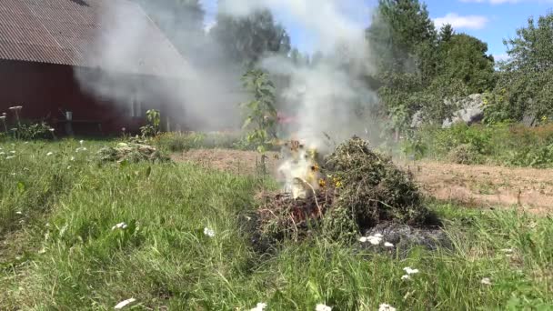 El humo se eleva del fuego de las hojas caídas, hierba y residuos de jardín durante el período de limpieza de otoño. 4K — Vídeo de stock