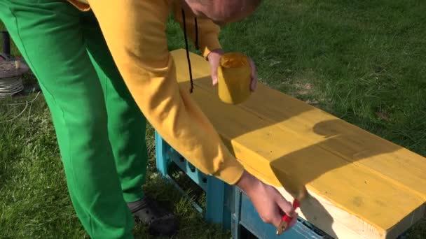 Homem faz-tudo com pincel e frasco de tinta em mãos pintando tábua de madeira superfície placa em amarelo. 4K — Vídeo de Stock