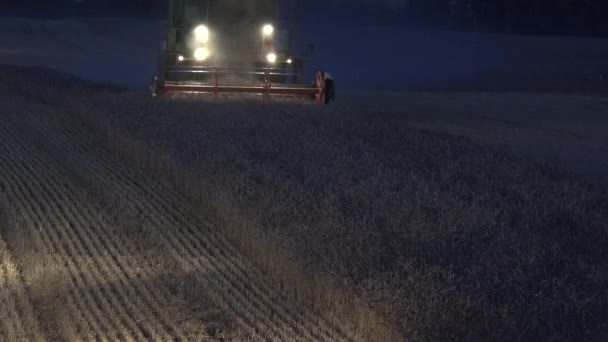 Mähdrescher ernten nachts Getreideweizenfeld. Dampf steigt aus heißer Maschine auf. 4k — Stockvideo