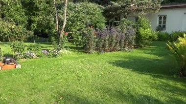 peyzaj mimarı adam evinin arka bahçesinde çim biçme. 4k