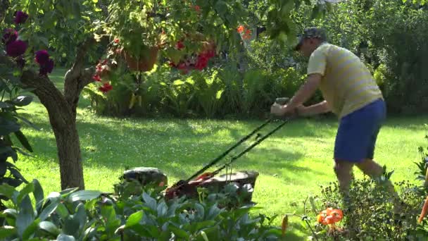 Homem trabalhador macho cortando grama entre flores e árvores de fruto no quintal do jardim. 4K — Vídeo de Stock