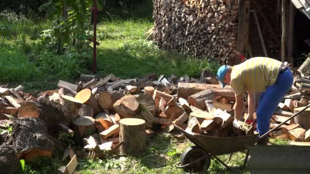 Wieśniak silny człowiek załadować ściętych drzew do koszyka barrow i wyciągnij go. 4k — Wideo stockowe