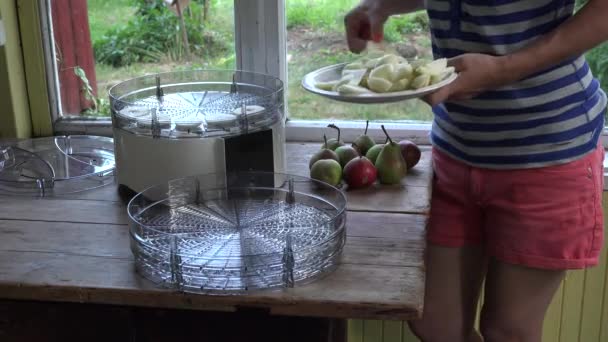As mãos de mulher quentes põem partes de pêras de redução no prato de máquina de secador de fruto. Fecha a porta. 4K — Vídeo de Stock