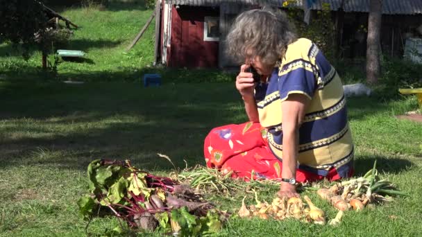 Régi Kertész nő beszél mobiltelefonon között betakarított zöldség ökológiai kertben. 4k — Stock videók