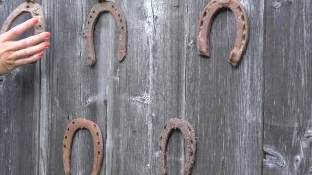 Meisje hand zetten retro Rusty hoefijzers op oude houten landelijke huis muur. Close-up. 4k — Stockvideo