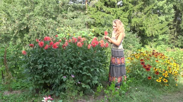 Mujer campesina en vestido recoger flores de dalia en el jardín de verano. 4K — Vídeos de Stock